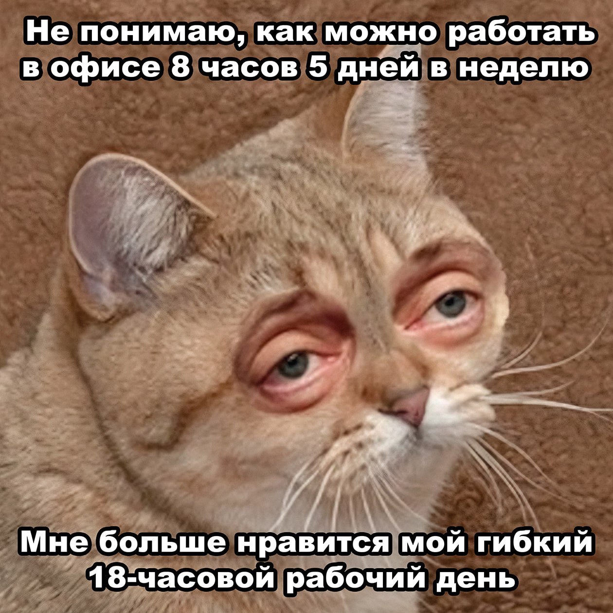 Предприниматель 😁 image preview