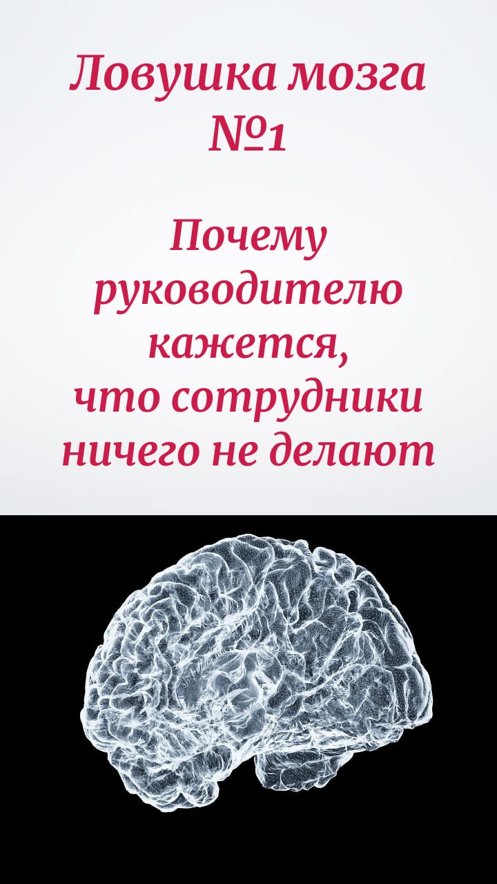🧠 Ловушка мозга №1 image preview